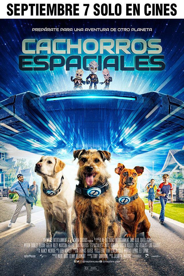 CACHORROS ESPACIALES